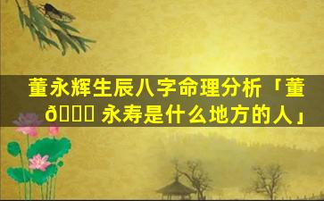 董永辉生辰八字命理分析「董 🕊 永寿是什么地方的人」